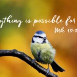 Twenty-Eighth Sunday in Ordinary Time no 1