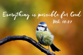 Twenty-Eighth Sunday in Ordinary Time no 1