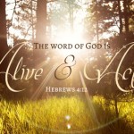 Twenty-Eighth Sunday in Ordinary Time no 3