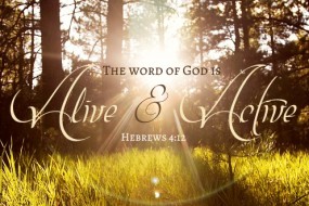Twenty-Eighth Sunday in Ordinary Time no 3