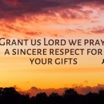 Twenty-Ninth Sunday in Ordinary Time no 3
