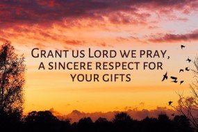 Twenty-Ninth Sunday in Ordinary Time no 3
