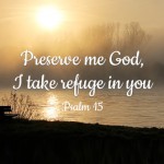 Thirty-Third Sunday in Ordinary Time no 2