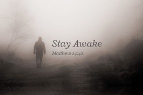 Thirty-Third Sunday in Ordinary Time no 3
