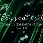 PALM SUNDAY NO 1