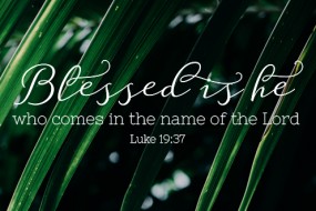 PALM SUNDAY NO 1