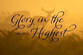 PALM SUNDAY NO 2