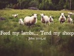 THIRD SUNDAY OF EASTER NO 2