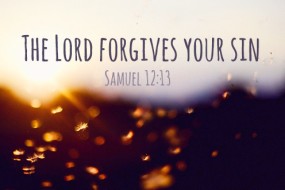 ELEVENTH SUNDAY IN ORDINARY TIME NO 2
