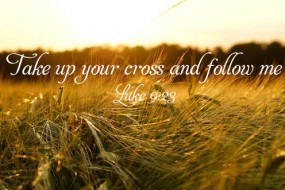 Twelfth Sunday in Ordinary Time no 1