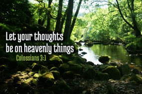 Eighteenth Sunday in Ordinary Time no 2jpg