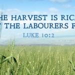 Fourteenth Sunday in Ordinary Time no 2