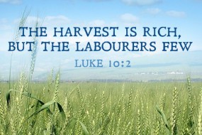 Fourteenth Sunday in Ordinary Time no 2