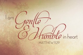 Twenty Second Sunday in Ordinary Time 1
