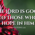 Twenty-Seventh Sunday in Ordinary Time 2