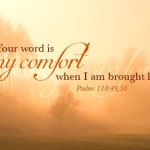 Twenty-Sixth Sunday in Ordinary Time 2