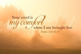 Twenty-Sixth Sunday in Ordinary Time 2