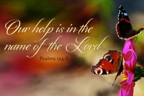 twenty-ninth-sunday-in-ordinary-time-no-1