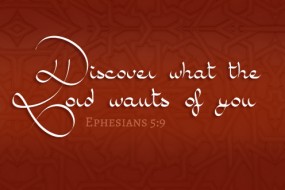 fourth-sunday-of-lent-no-2