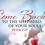 fourth-sunday-of-easter-no-2