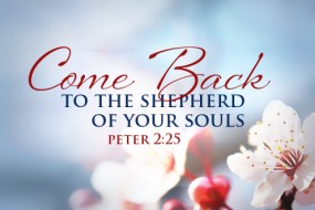 fourth-sunday-of-easter-no-2
