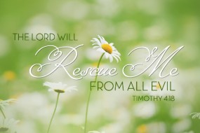 thirteenth-sunday-in-ordinary-time-no-2