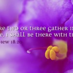 twenty-third-sunday-in-ordinary-time-no-2