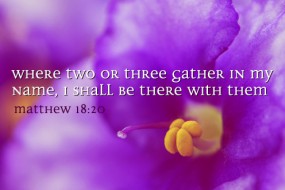 twenty-third-sunday-in-ordinary-time-no-2