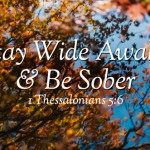 thirty-third-sunday-in-ordinary-time-no-2