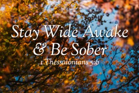 thirty-third-sunday-in-ordinary-time-no-2