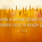 fifth-sunday-of-lent-no-1