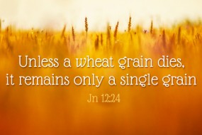 fifth-sunday-of-lent-no-1