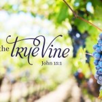fifth-sunday-of-easter-no-1