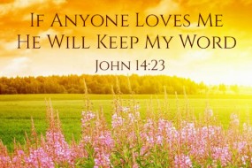 tenth-sunday-in-ordinary-time-no-2
