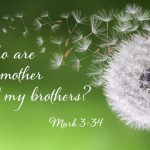 tenth-sunday-in-ordinary-time-no-3