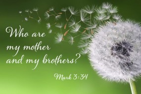 tenth-sunday-in-ordinary-time-no-3