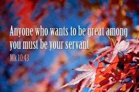 twenty-ninth-sunday-in-ordinary-time-no-1