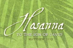 palm-sunday-of-the-passion-of-the-lord-no-1