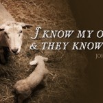 fourth-sunday-of-easter-no-1