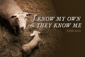 fourth-sunday-of-easter-no-1
