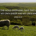 fourth-sunday-of-easter-no-2