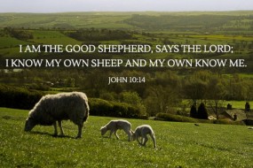 fourth-sunday-of-easter-no-2