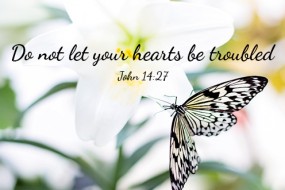 sixth-sunday-of-easter-no-1