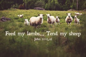 third-sunday-of-easter-no-2