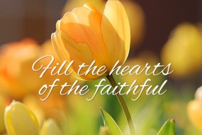 pentecost-sunday-no-2
