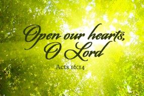 sixteenth-sunday-in-ordinary-time-no-2