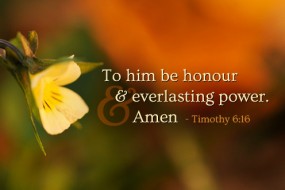 twenty-sixth-sunday-in-ordinary-time-no-1
