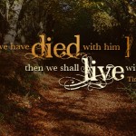 twenty-eighth-sunday-in-ordinary-time-no-1