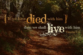 twenty-eighth-sunday-in-ordinary-time-no-1