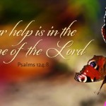 twenty-ninth-sunday-in-ordinary-time-no-1